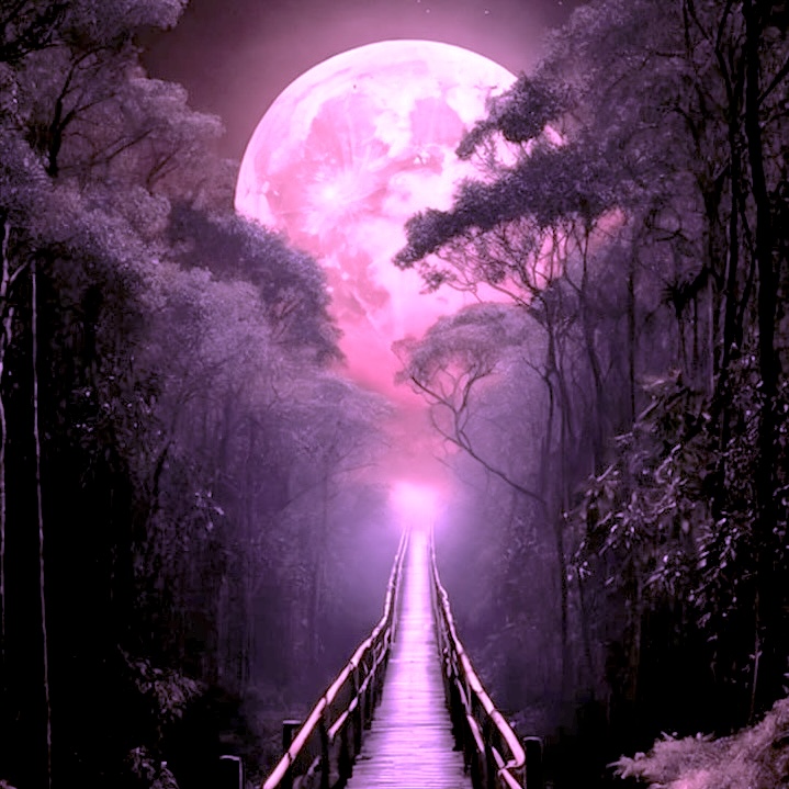 Full Moon/Lua Cheia 14 March 2025